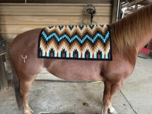 Ogilvy Saddle Pads: Perfect Comfort and Unmatched Style for Every Rider