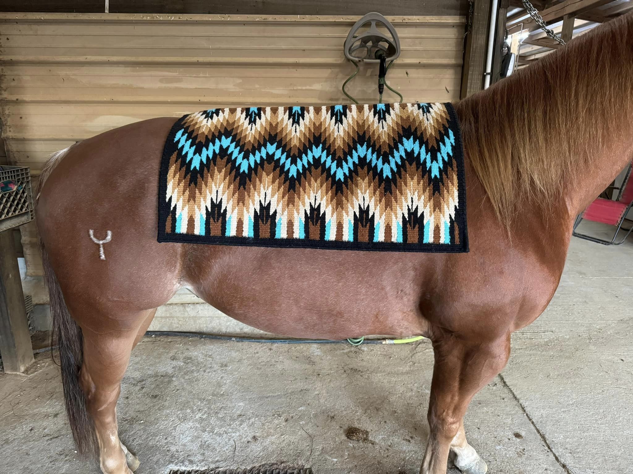 Bling Boutique OPH show pads Saguaro Show Stoppin Bentley Show Pads Erin Rhea 2