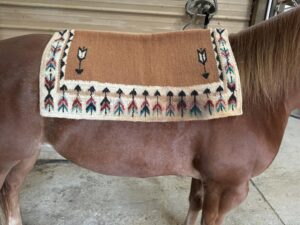 Ogilvy Saddle Pads: Perfect Comfort and Unmatched Style for Every Rider