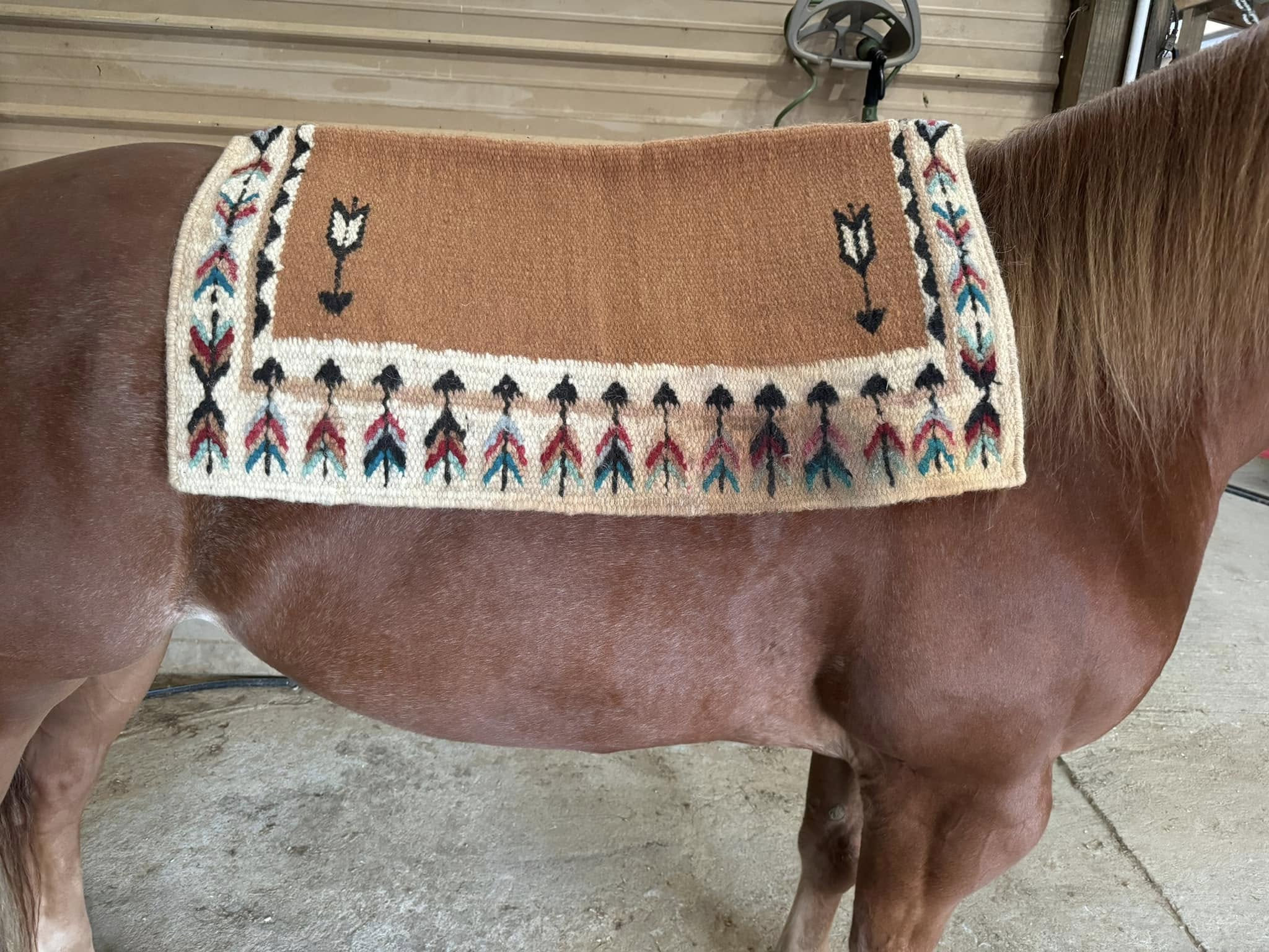 Bling Boutique OPH show pads Saguaro Show Stoppin Bentley Show Pads Erin Rhea 4