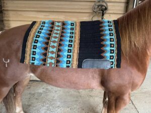 Ogilvy Saddle Pads: Perfect Comfort and Unmatched Style for Every Rider
