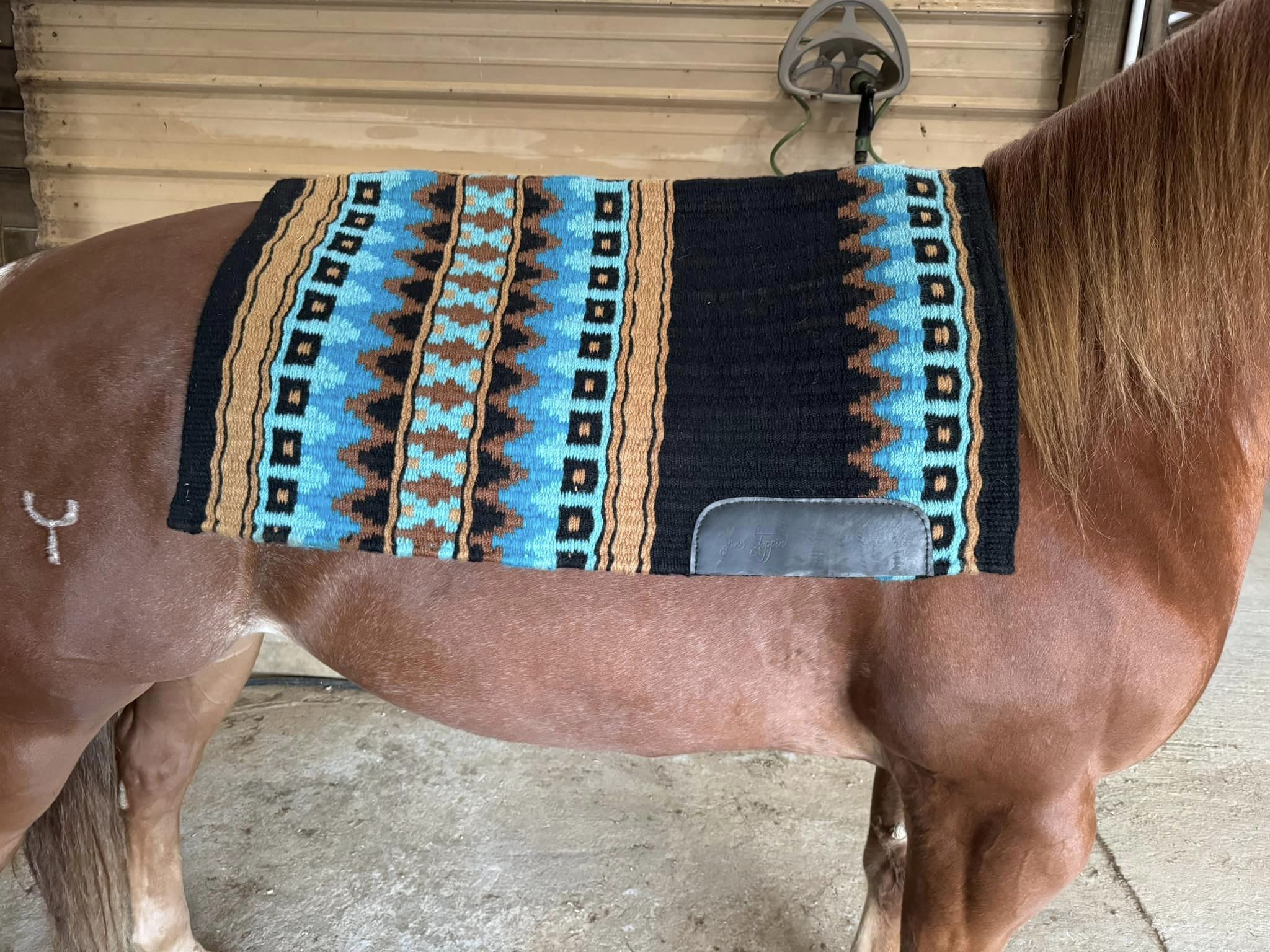 Bling Boutique OPH show pads Saguaro Show Stoppin Bentley Show Pads Erin Rhea Blue Saddle pad