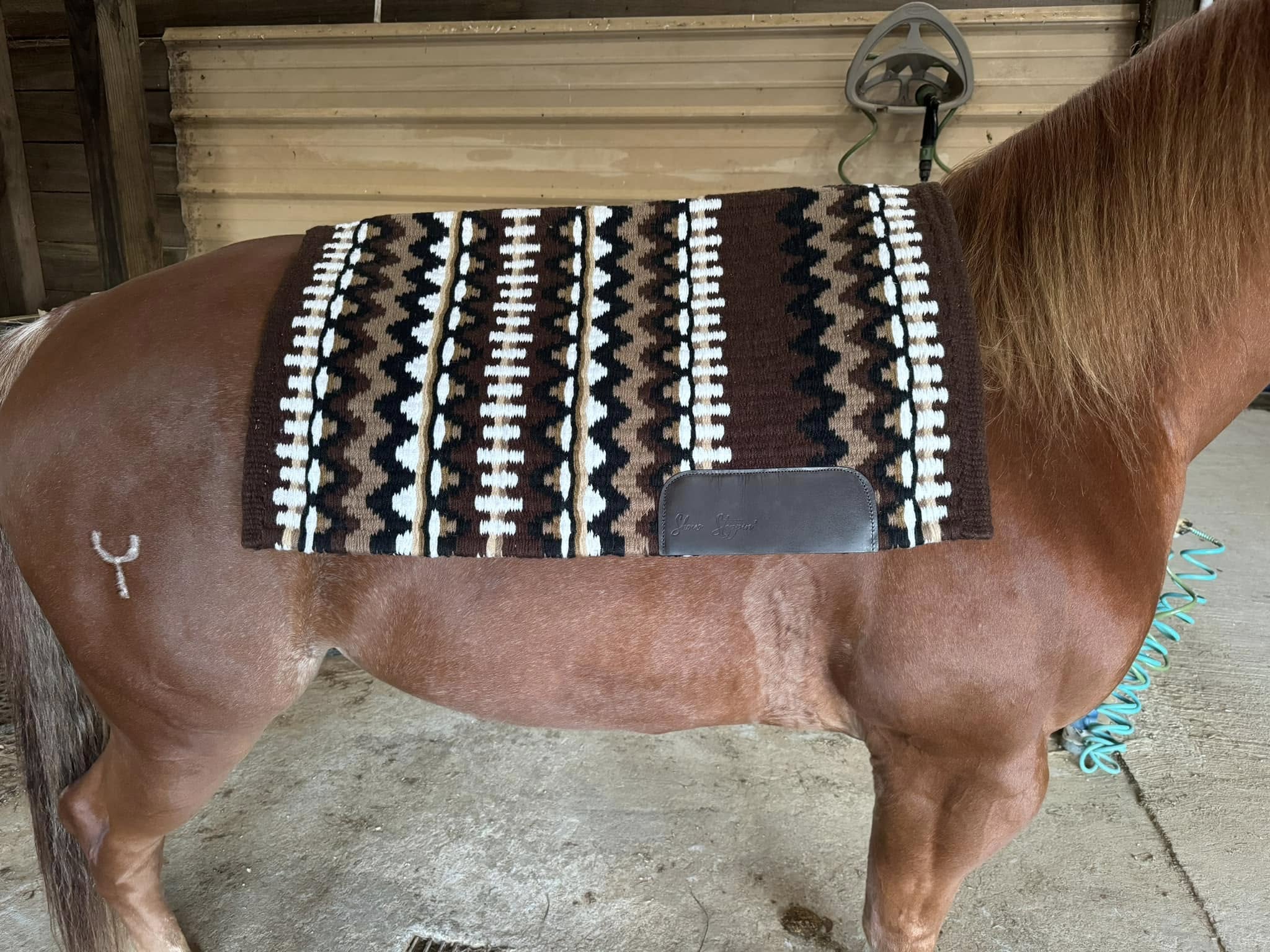 Bling Boutique OPH show pads Saguaro Show Stoppin Bentley Show Pads Erin Rhea Brown Pad