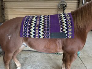 Ogilvy Saddle Pads: Perfect Comfort and Unmatched Style for Every Rider