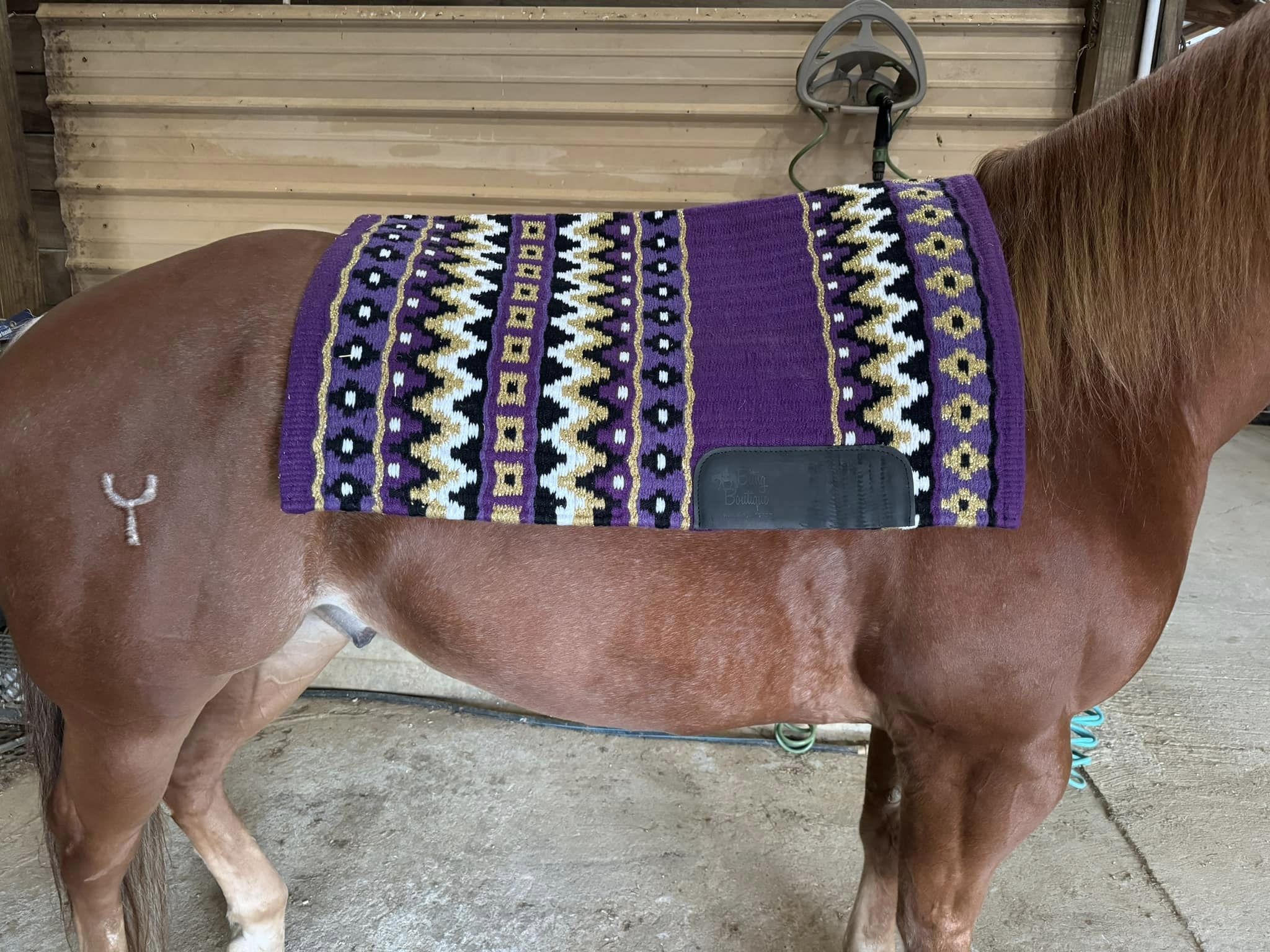 Bling Boutique OPH show pads Saguaro Show Stoppin Bentley Show Pads Erin Rhea Purple Saddle Pad