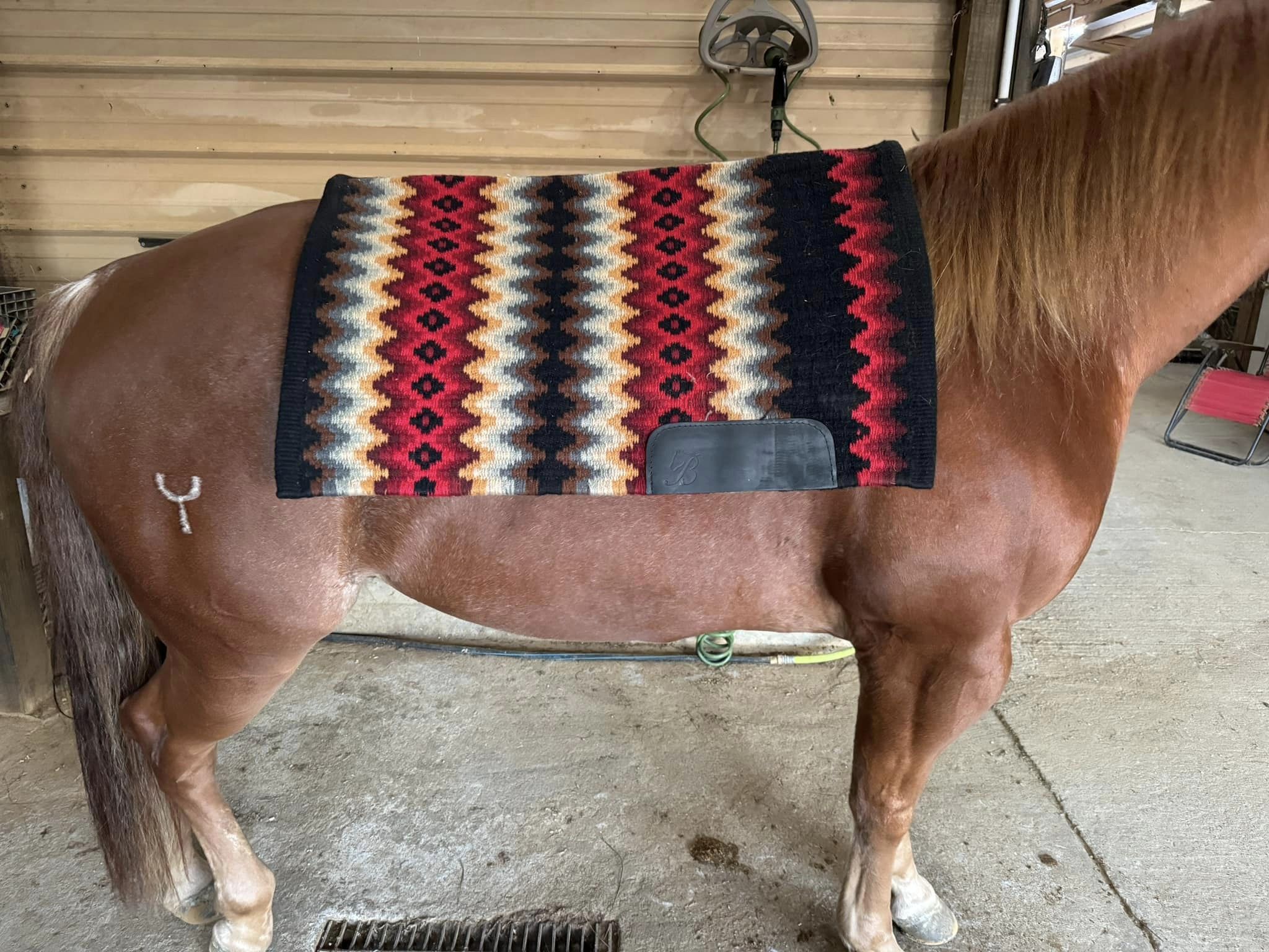 Bling Boutique OPH show pads Saguaro Show Stoppin Bentley Show Pads Erin Rhea Red Saddle Pad