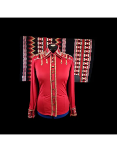 Extraordinary Crystal Embroidered Red Western Show shirt